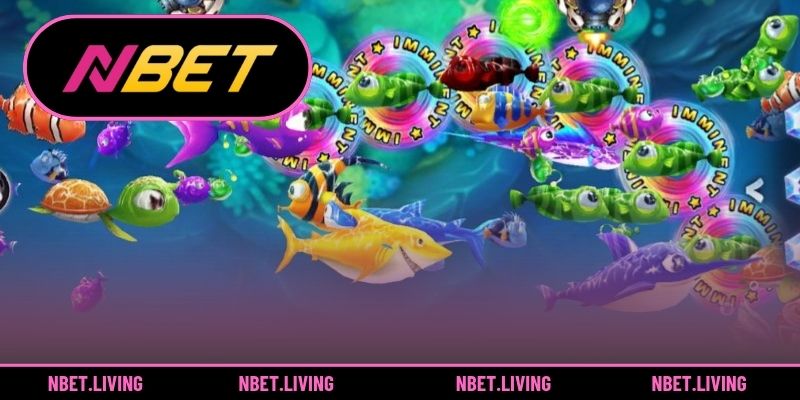 Áp dụng 3 mẹo săn cá từ cao thủ