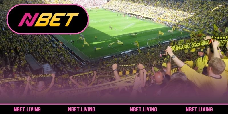 Trải nghiệm ngay 3 bộ môn cá cược thể thao đặc sắc nhất