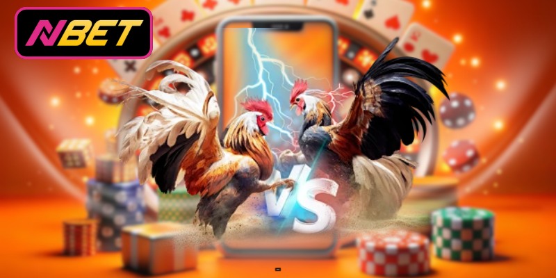 Nắm bắt quy tắc tham gia đặt cược trực tuyến