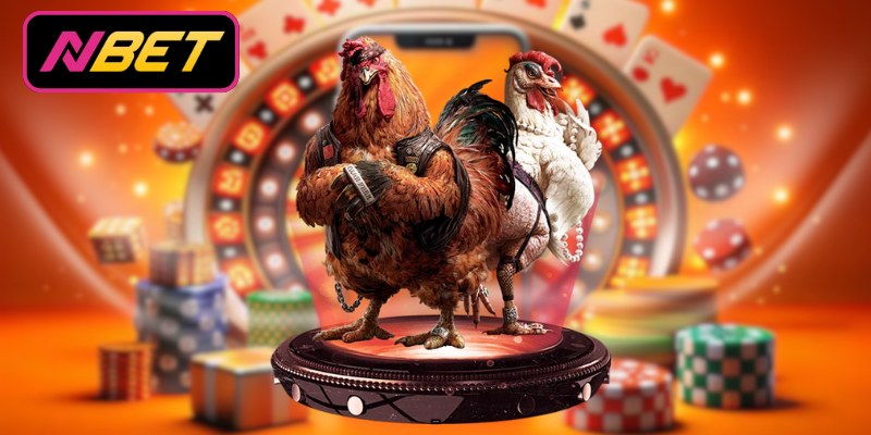 Tìm hiểu nét lôi cuốn từ đá gà cựa dao Philippines